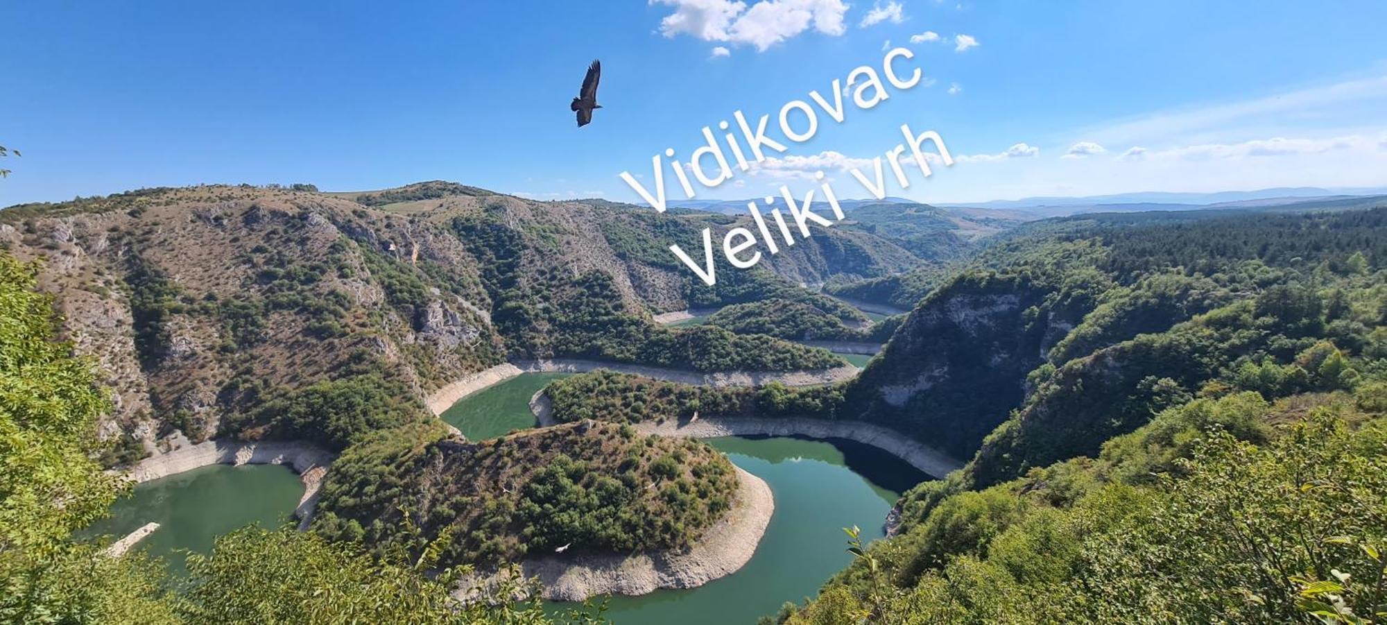 Markove Kolibe 3, Uvac 谢尼察 客房 照片